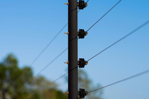 cerco electrico